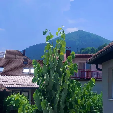 Balkan Апартаменты *